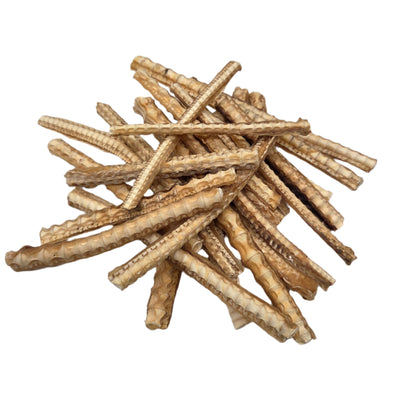 Shark Cartilage - Assorted Sizes Available (ND)