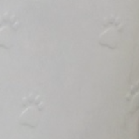 Animal House Plastic Bath - Electric Lift with Back Splash and PLASTIC PEDALS - Assorted Colours (WH) - PICK UP ONLY