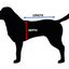 Fleece Dog Coat - Italian Greyhound - 17" and 18" Lengths - Assorted Designs