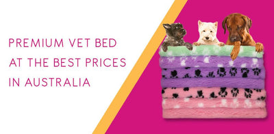 Vet Bed Piece - Green Backed - Assorted Colours and Backings