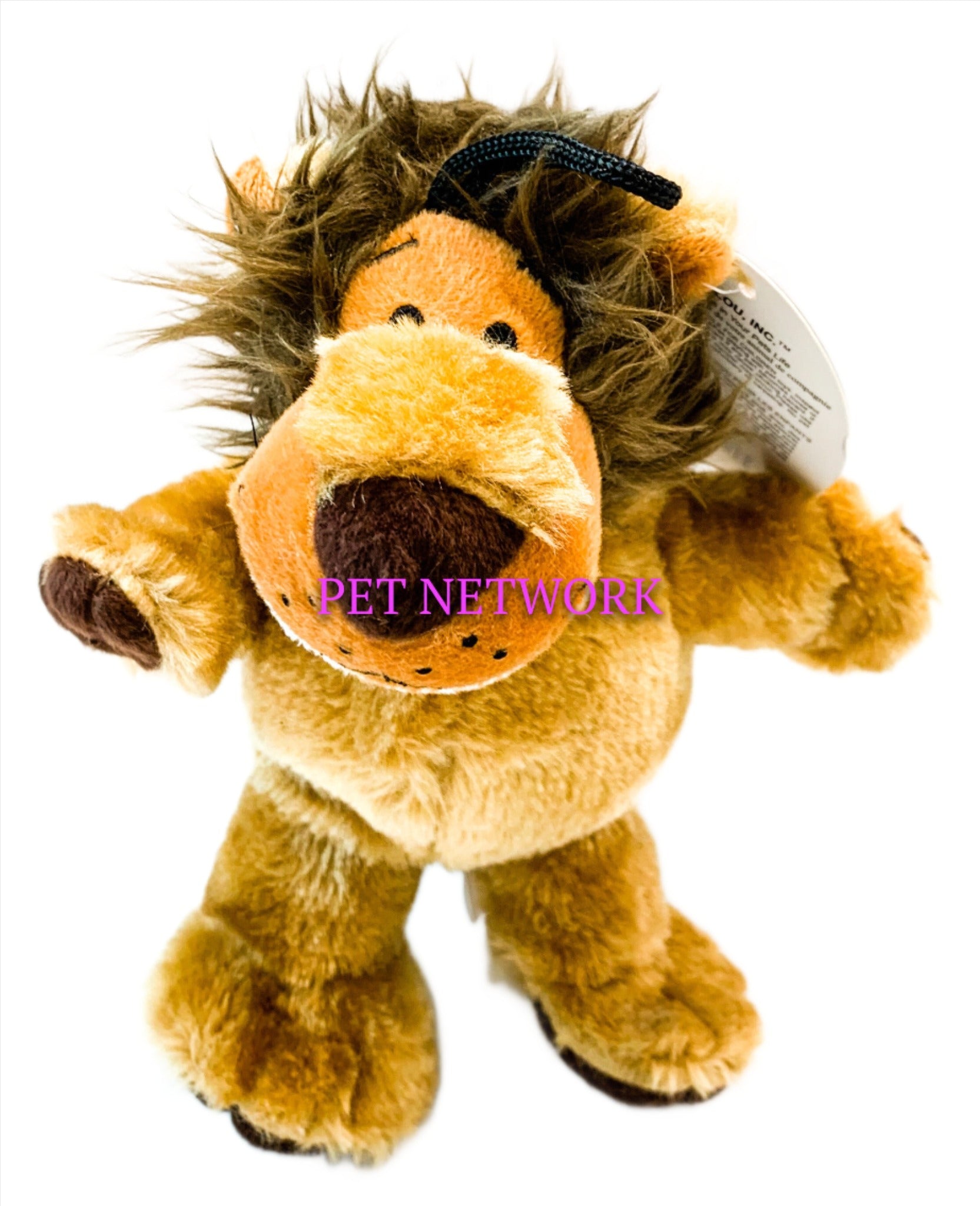 Medium Lion 8” Dog Toy – PetNetwork