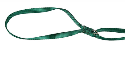Premier Martingale Collar/Lead - 3/8" x 4ft - Assorted Neck Sizes and Colours