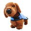 Cool Dog Cooling Coat – Assorted Colours and Sizes