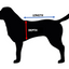 Cool Dog Cooling Coat – Assorted Colours and Sizes