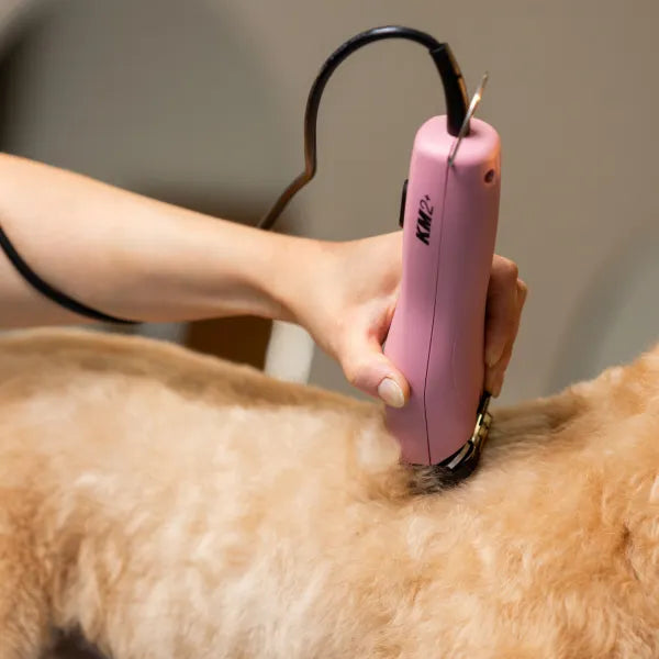 Wahl KM2+ Corded Clipper for animals
