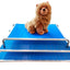 Animal House Metal Frame Dog Bed 