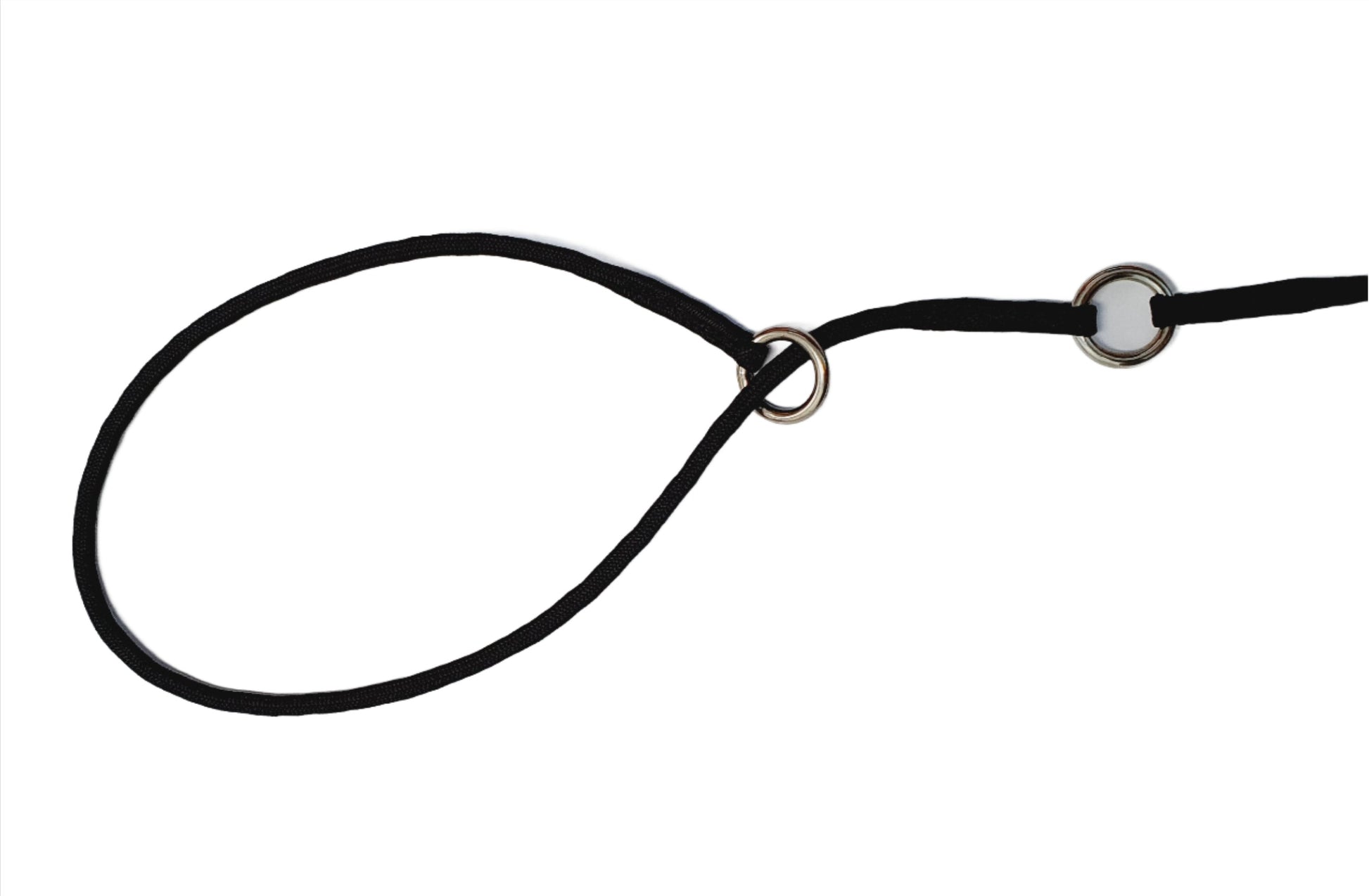 Paracord Slip Lead with 2 Rings