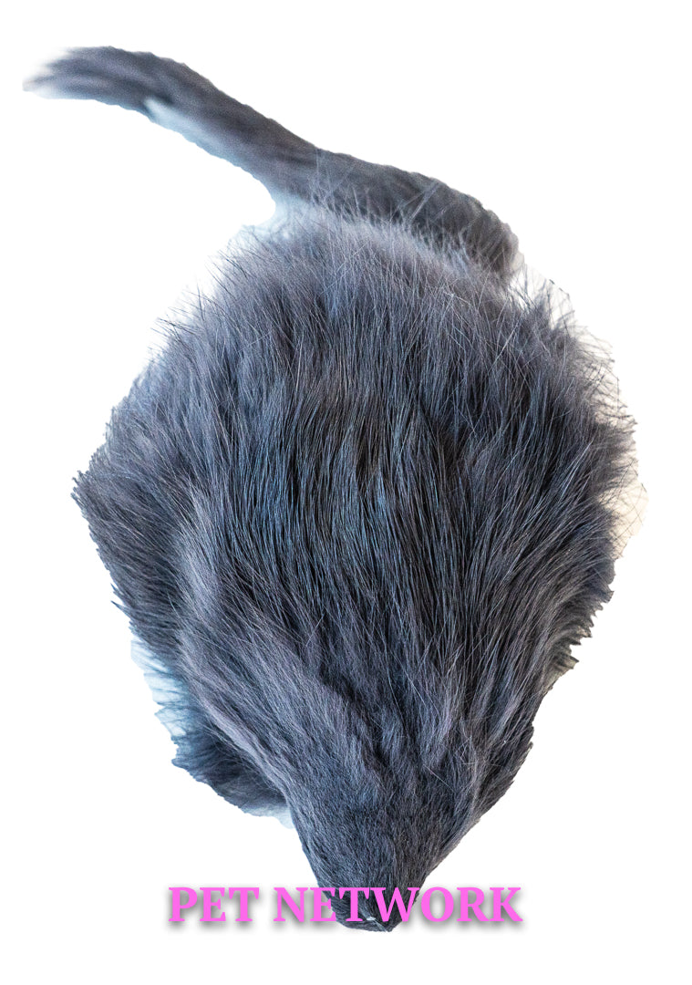 Fur Mouse Squeaker for Dog Show/Obedience