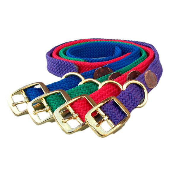 Mendota Buckle Collar 24" - Assorted Colours 
