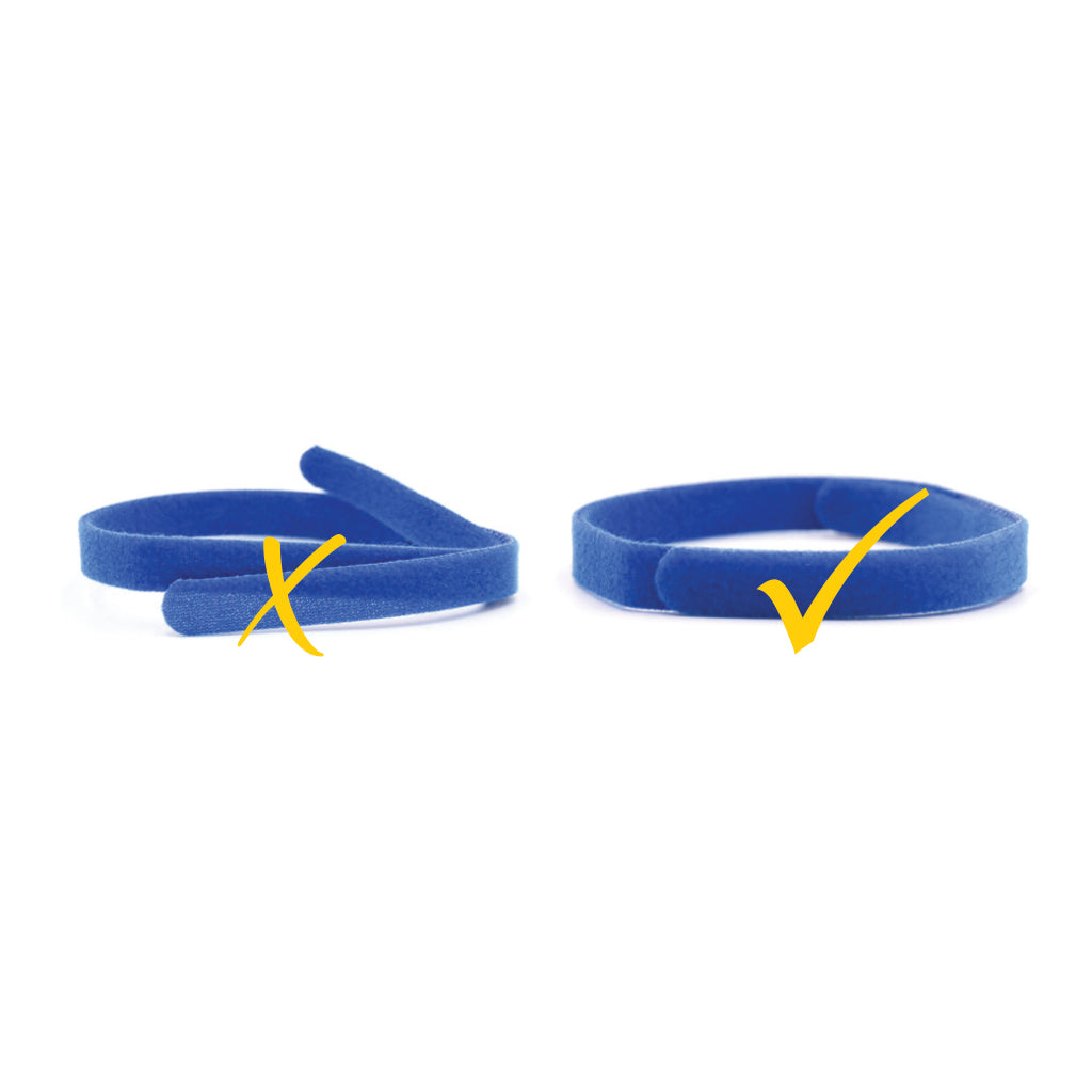 Animal House Puppy Id Bands/Collars – Assorted Sizes