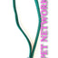 Show Tech Grooming Noose - Available in Turquoise or Green Nylon