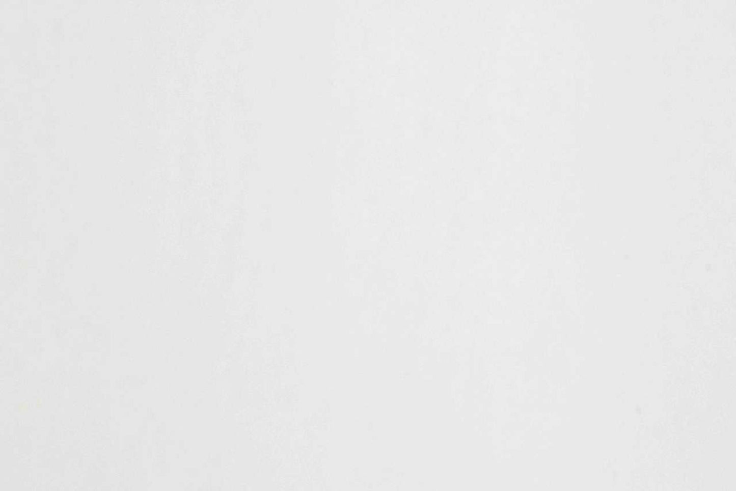 Vet Bed - Green Backed - White