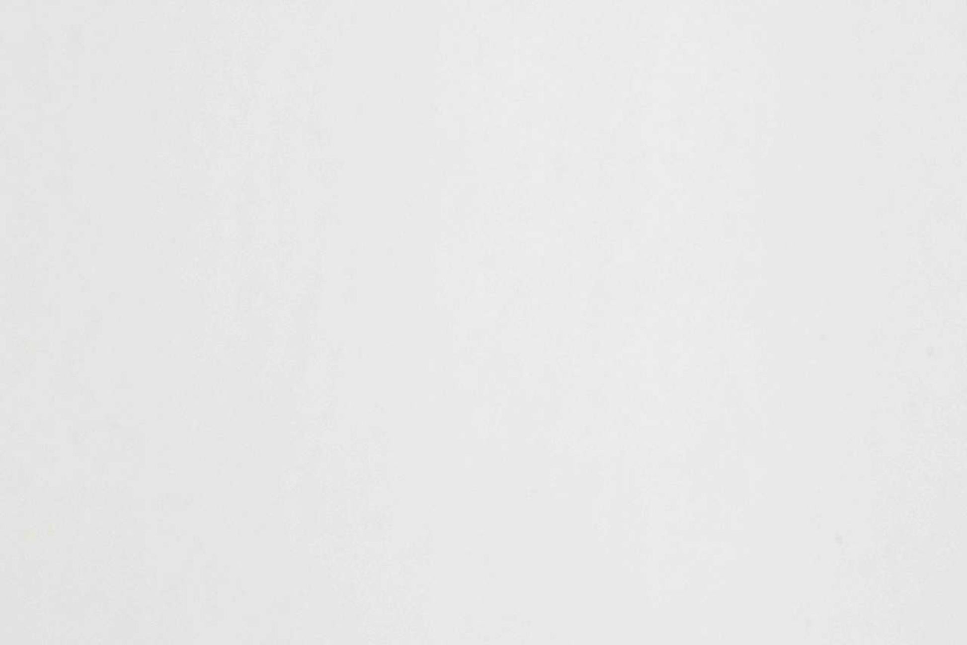 Vet Bed - Green Backed - White